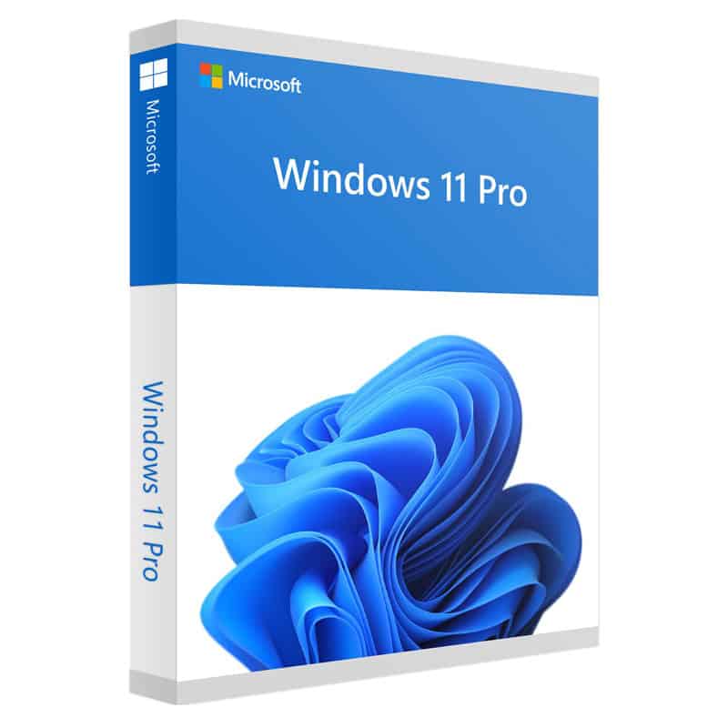 Windows 11 Pro
